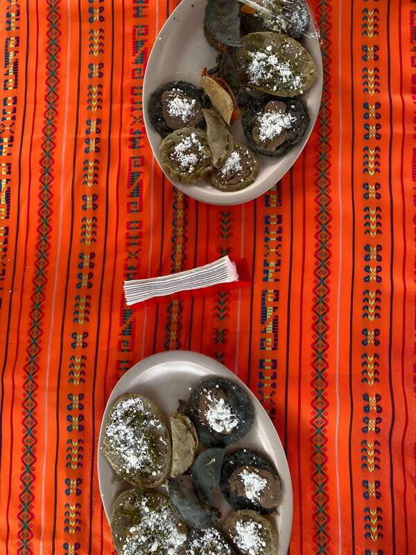 Xochimilco Serene: A Calm Cultural Escape from the Crowds - Frequently Asked Questions