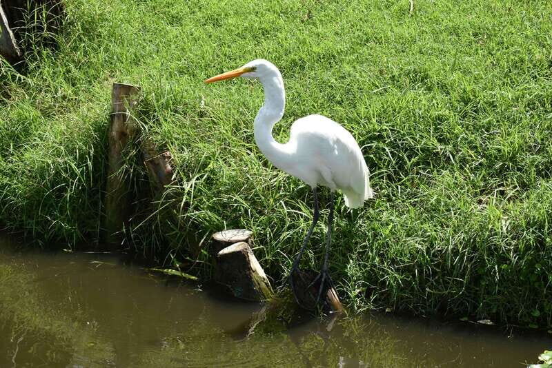 Xochimilco Serene: A Calm Cultural Escape from the Crowds - Final Thoughts