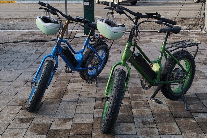 Xtreme Ebike jungle and cenote tour - A Closer Look at the Itinerary