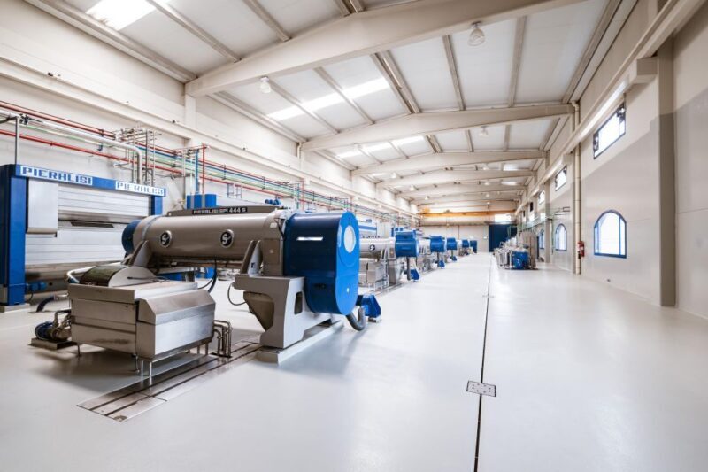 XXI Century Olive Oil Mill Tour - Key Points