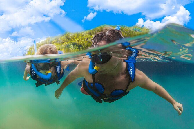 YAL-KÚ Park in Riviera Maya Admission Ticket - Who Should Visit Yal-Kú?