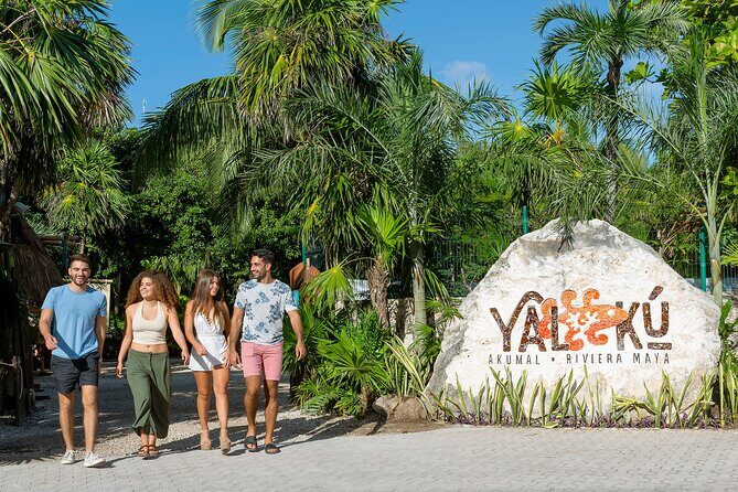 YAL-KÚ Park in Riviera Maya Admission Ticket - Final Thoughts: Is Yal-Kú Worth It?
