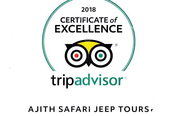 Yala Camping by Ajith Safari All Inclusive - Analyzing the Experience: What to Expect