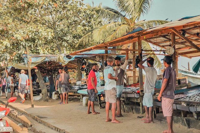 Yala from Galle (2 Days) - FAQs