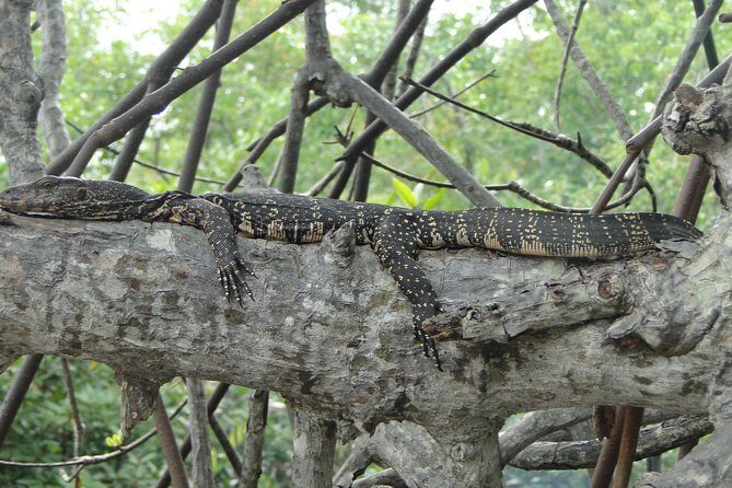 Yala Galle 2 Days Tour - FAQ