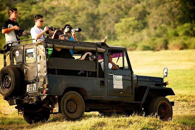Yala Half Day Safari from Yala - A Detailed Look at the Yala Safari Experience
