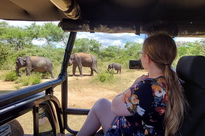 Yala National Park Private Jeep Safari From Colombo & Negombo - Who Will Love This Tour?