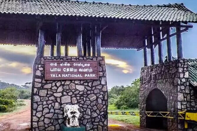 Yala National Park Private Jeep Safari From Colombo & Negombo - Final Thoughts: Is It Worth It?