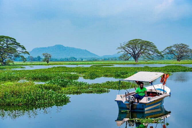 Yala National Park Private Safari with Naturalist - Practical Details and What You Need to Know