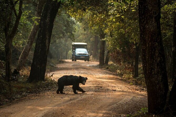 Yala National Park Safari from Galle - Conclusions: Is the Yala Safari From Galle Worth It?