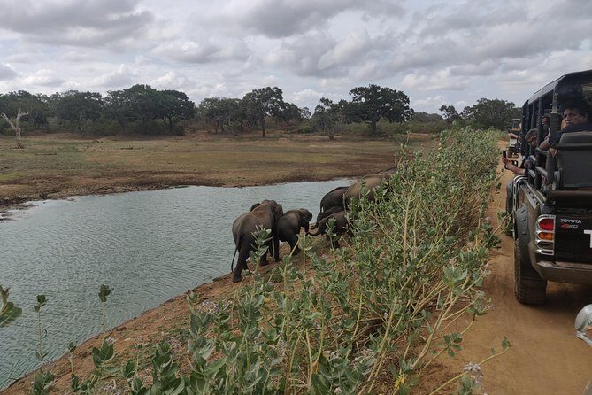 Yala National Park Safari from Mirissa - Who Is This Tour Best For?