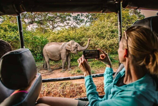 Yala National Park Safari from Tangalle - An In-Depth Look at the Yala Safari Experience
