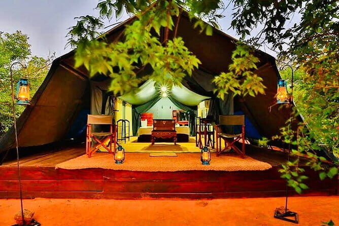 Yala National Park Safari with Luxury Tented Camping From Ella - Arriving in Yala: The Journey Begins