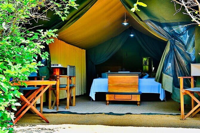Yala National Park Safari with Luxury Tented Camping From Ella - What’s Included and Practical Tips