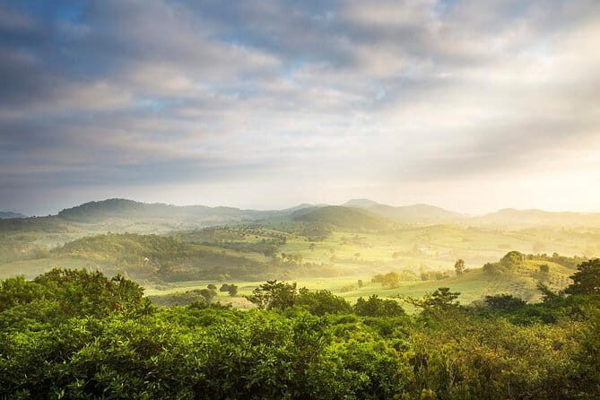Yala National Park Safari with Luxury Tented Camping From Ella - Who Should Consider This Tour?
