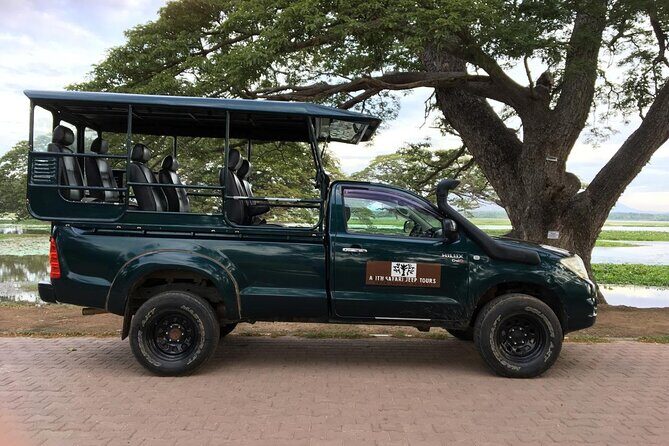 Yala National Park Wildlife Safari/ Game Drive - by Ajith Safari - The Itinerary Breakdown