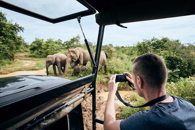 Yala National Park Wildlife Safari/ Game Drive - by Ajith Safari - The Park Experience