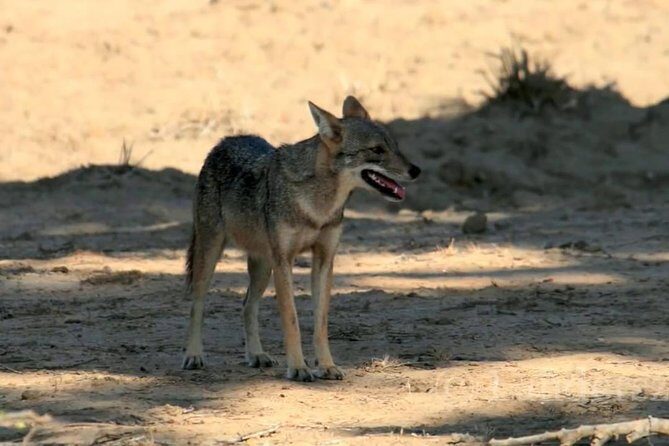 Yala Safari by Yala Safari Wonders - Cost versus Value