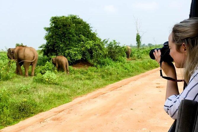 Yala Safari Day Trip from Bentota/ Kalutara/ Ahungalla/ Hikkaduwa - FAQ