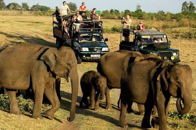 Yala Safari Private Day Tour From Kaluthara/Beruwala/Bentota/Kosgoda/Ahungalla - FAQ
