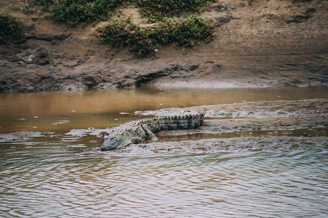 Yala Safari Private Day Trip with Return Transport -All Inclusive - Who Should Book This Tour?