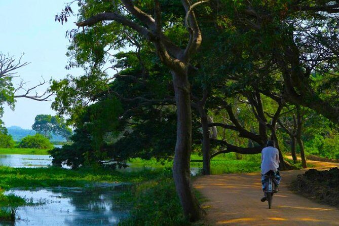 Yala Village Life Exploration tour by tuk-tuk from Hambantota Habour - A Closer Look at the Yala Village Life Exploration Tour