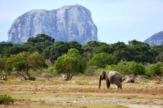 Yala Wild Adventure Safari - FAQ