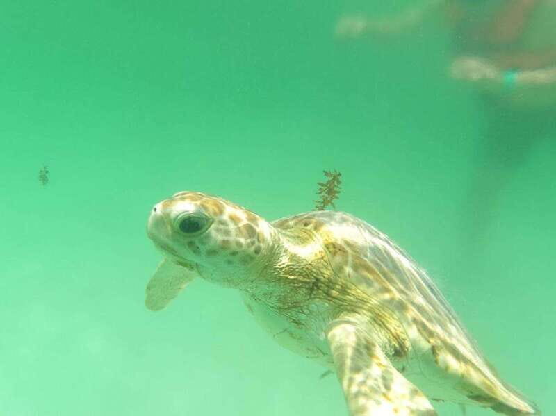 Yalku :Akumal snorkeling Muuch Kay Ecopark - What Makes This Snorkeling Tour Unique?