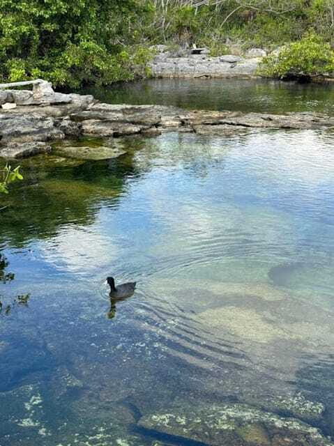 Yalku :Akumal snorkeling Muuch Kay Ecopark - The Value Proposition