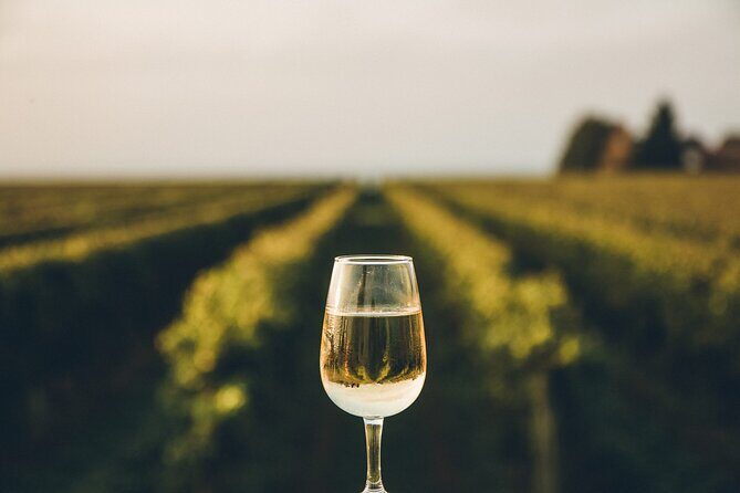 Yamanashi Koshu Winery Private Tour with Licensed Guide & Vehicle - Key Points