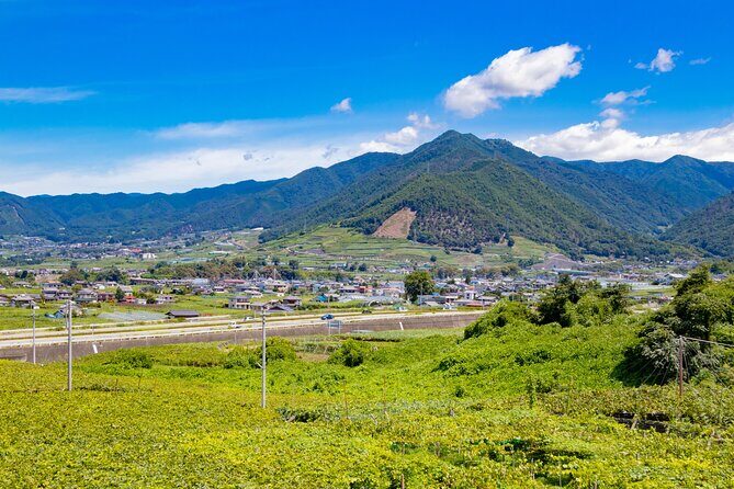 Yamanashi Koshu Winery Private Tour with Licensed Guide & Vehicle - Who Is This Tour Best For?
