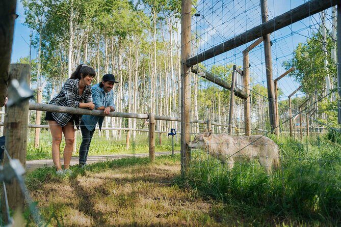 Yamnuska Wolfdog Sanctuary Walk Ticket in Canada - The Sum Up