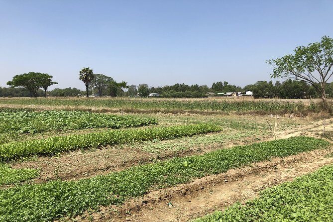Yangon Outskirts - Rural Life Experience - FAQ
