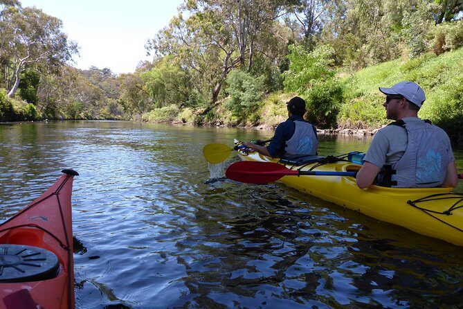 Yarra River Kayak Hire - Who Would Love This Experience?