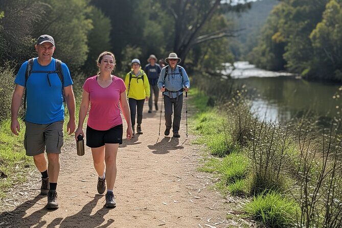 Yarra Valley by night! Private wine, whisky and dinner tour - Authentic Experiences & Reviews