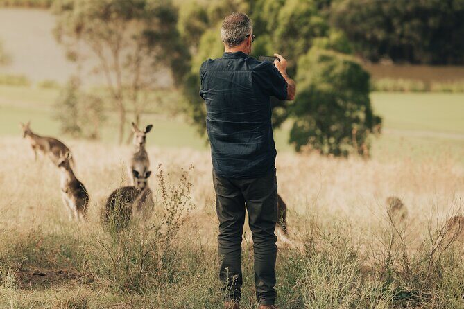 Yarra Valley by night! Private wine, whisky and dinner tour - Practical Details & Considerations
