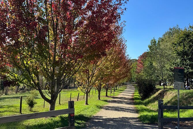 Yarra Valley Foodie Tour, Devonshire Tea, Cheese and Chocolate - Pricing & Value