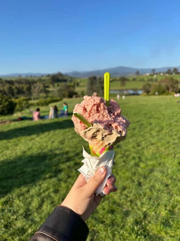 Yarra Valley Foodies Tour with Chandon and Kangaroo Safari! - Who Will Love This Tour?