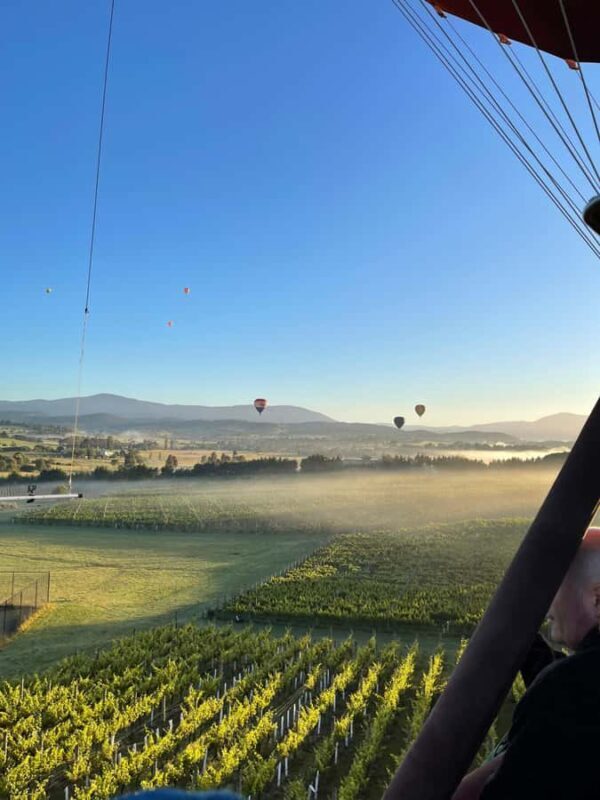 Yarra Valley : Hot Air Ballooning - Considering the Value: Is It Worth the Price?