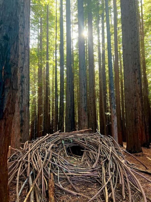 Yarra Valley | Redwoods, Wildlife, Wine, Chocolate - Key Points