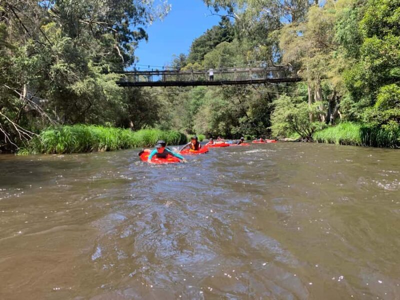 Yarra Valley: Self-Guided River Sledding Adventure - A Closer Look at the Itinerary and Experience