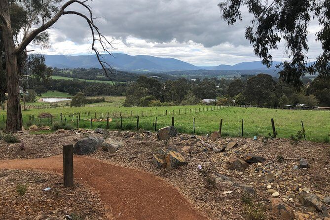 Yarra Valley Wine Tour inc lunch with a glass of wine, tastings and chocolate - Key Points