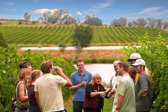 Yarra Valley Wine & Winery Tour from Melbourne - All Inclusive! - Introduction