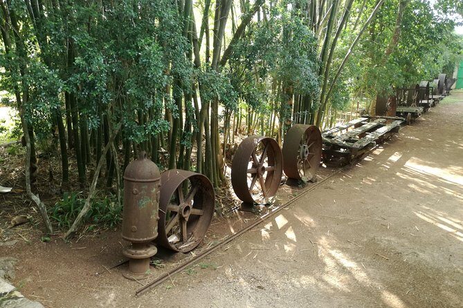 Yaxcopoil Hacienda, Uxmal & Cenote from Merida - Cenote Peba: A Refreshing Swim in Nature