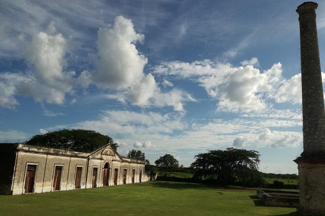 Yaxcopoil Hacienda, Uxmal & Cenote from Merida - Who is This Tour Best For?