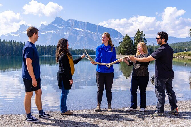 Year Round Tour: Banff and its Wildlife - A Detailed Look at the Tour Experience