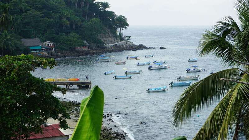 Yelapa: Catamaran Cruise with Lunch and Open Bar - Who Is This Tour Best For?