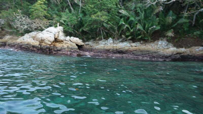 Yelapa: Catamaran Cruise with Lunch and Open Bar - Final Thoughts