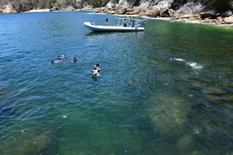 Yelapa Escape & Snorkeling in Puerto Vallarta by Speedboat - Frequently Asked Questions