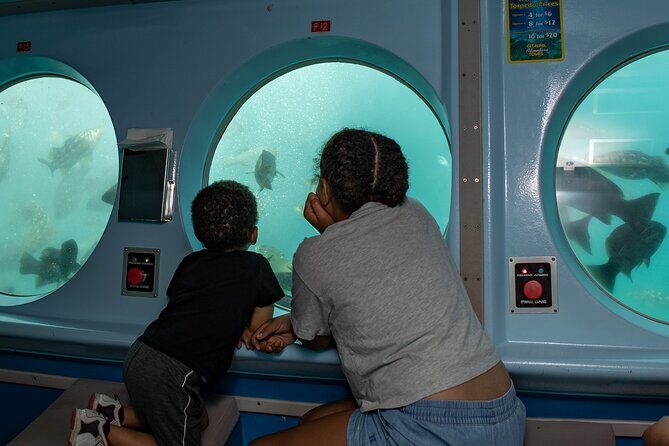 Yellow Semi-Submarine Tour of Catalina Island From Avalon - Authentic Feedback from Past Travelers